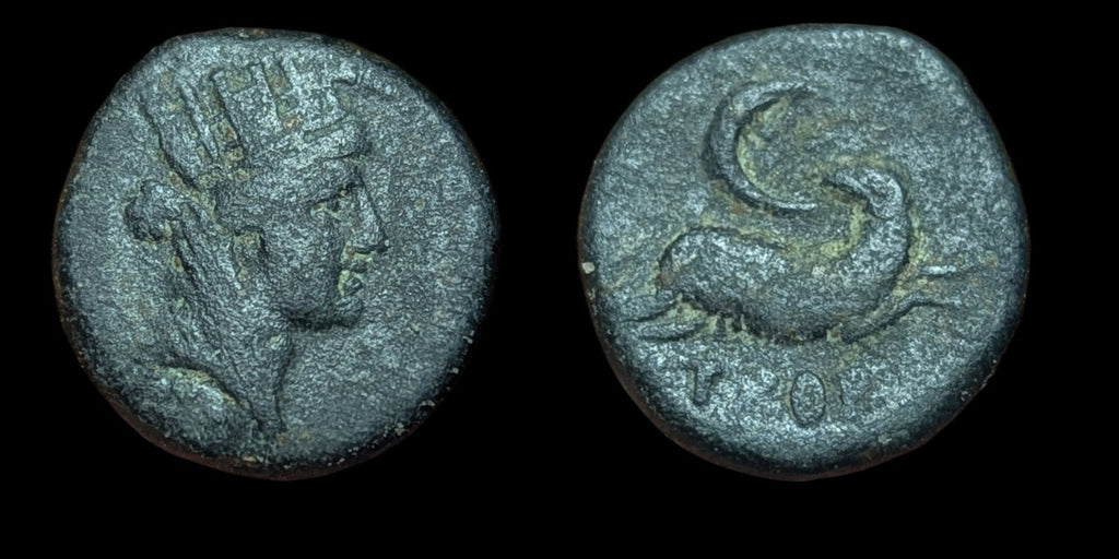 Ancient Roman Time Of NERO 54AD Antioch TYCHE RAM Star Of David* Rare
