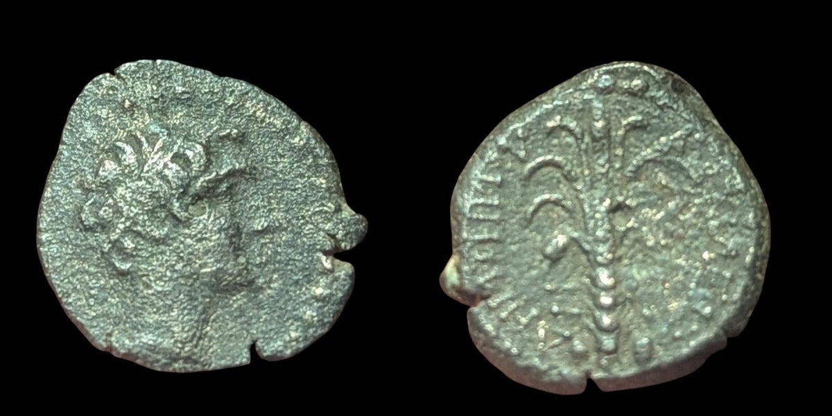 Ancient GREEK Coin Seleucid King DEMETRIUS Palm Tree Dilepton