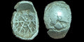 Silver Coin Template