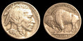 1936 Buffalo Nickel F Mint Mark