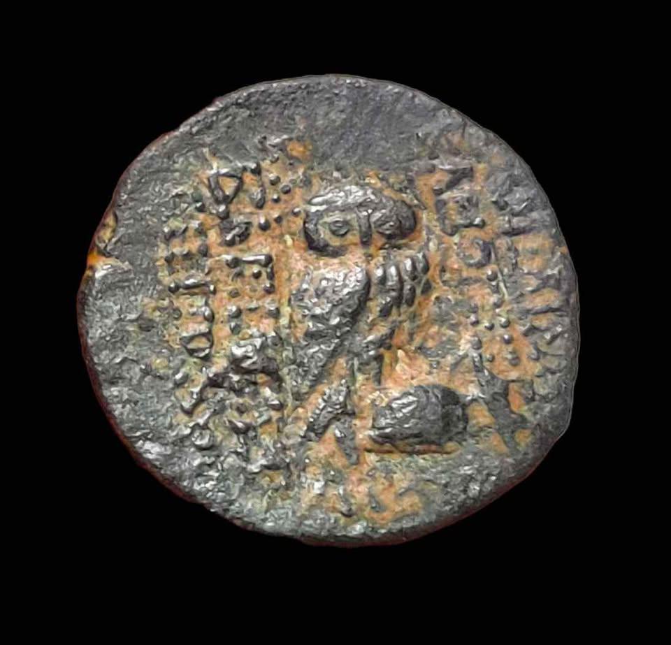 Ancient Greece Cleopatra Thea Antiochos VIII Seleukid Kingdom Genuine Owl Coin