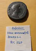 Rare Ancient Sestertius Divus Antoninus Pius, struck by Aurelius & Verus