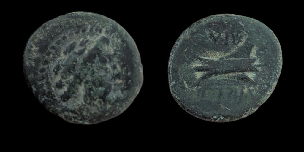 Ancient Greek Bronze Æ 137-51 BC Coin, Phoenicia, Arados Bronze  SNG-Cop:36 44!