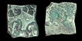 India ⭐ INDUS Valley Mayuriyan Punch ⭐ silver Coin 300 BC