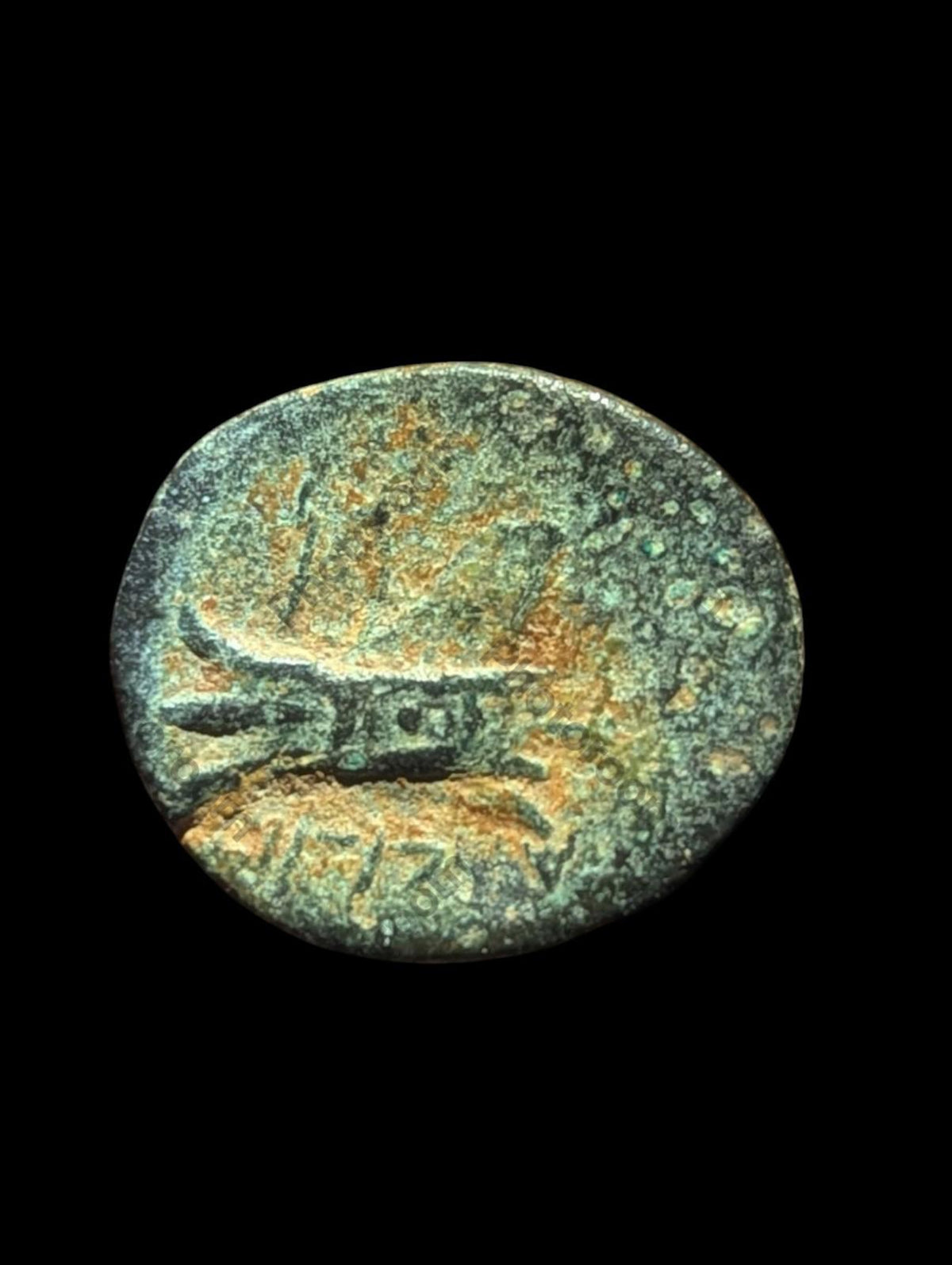 古希腊青铜币 137-51 BC，腓尼基，阿瓦德斯青铜币 SNG-Cop:36 44!
