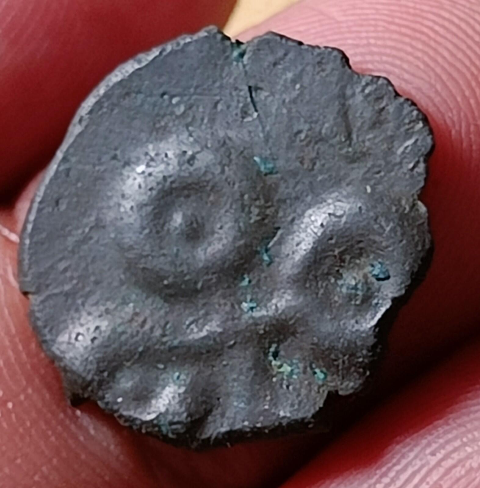 #Rownak#V29#Ancient India Satavahana Satakarni Elephant potin coin 1 Karashapana
