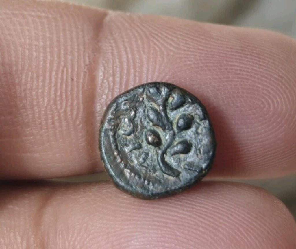 Ancient Roman seleucis & PIERIA Pseudo Autonomous Issue Of Time Of NERVA Rare