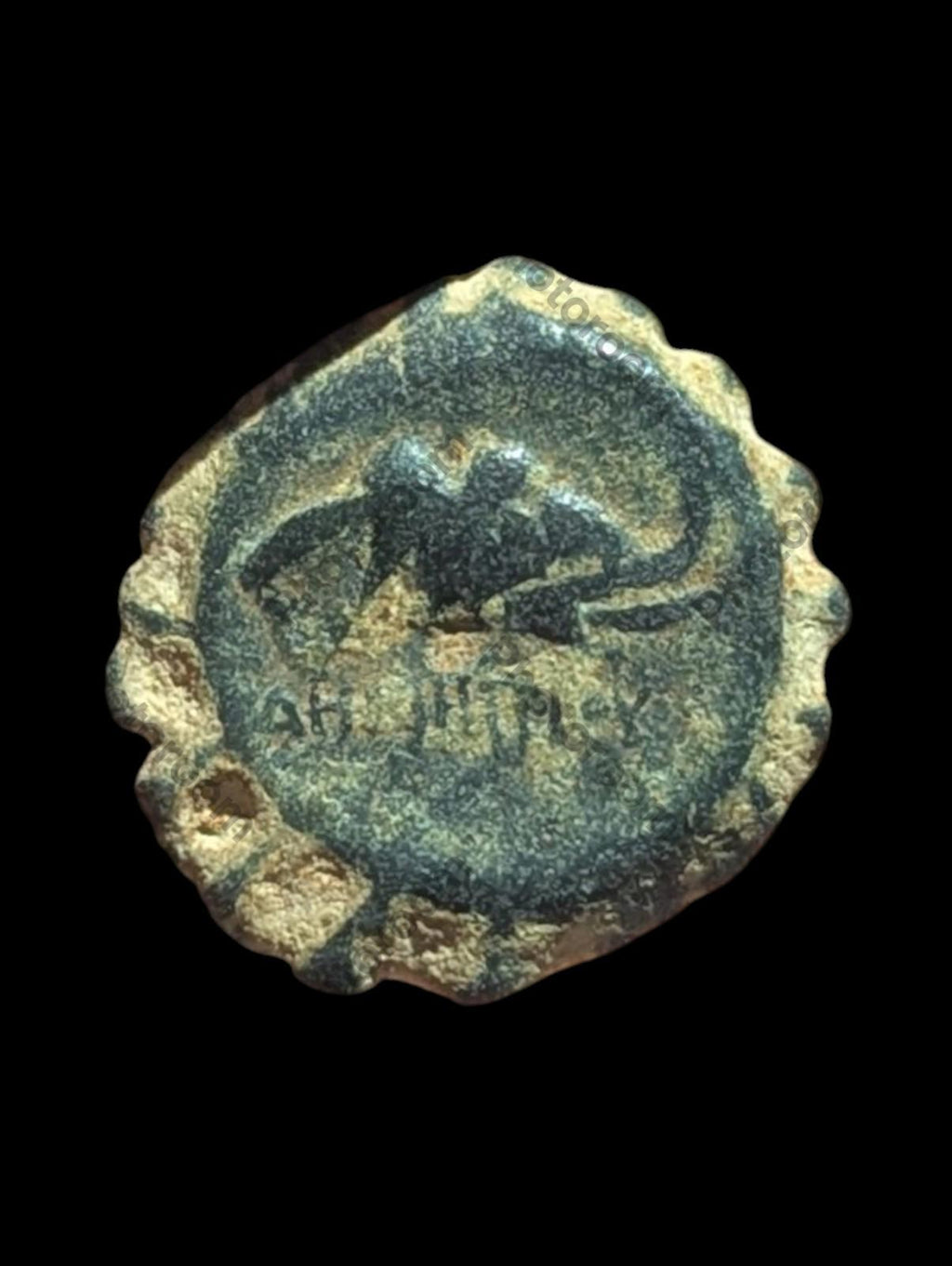 Ancient Greek Bronze Coin Antioch 162-150 BC - Demetrios I Soter ELEPHANT HORSE