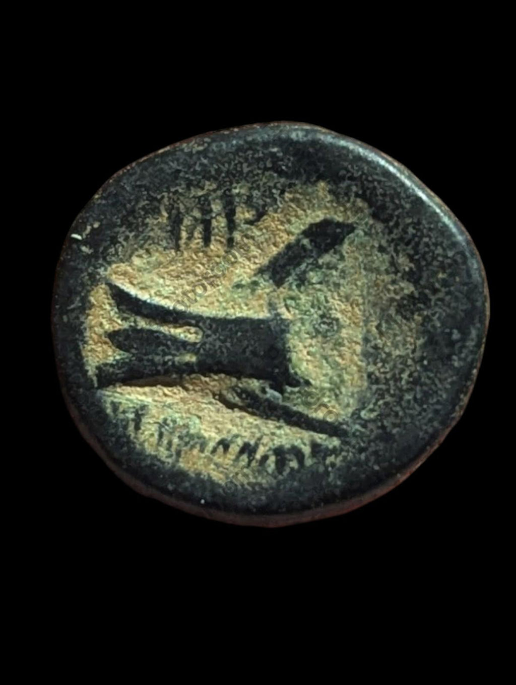 Ancient Greek Bronze Æ 137-51 BC Coin, Phoenicia, Arados, Bronze, SNG-Cop:36-44.