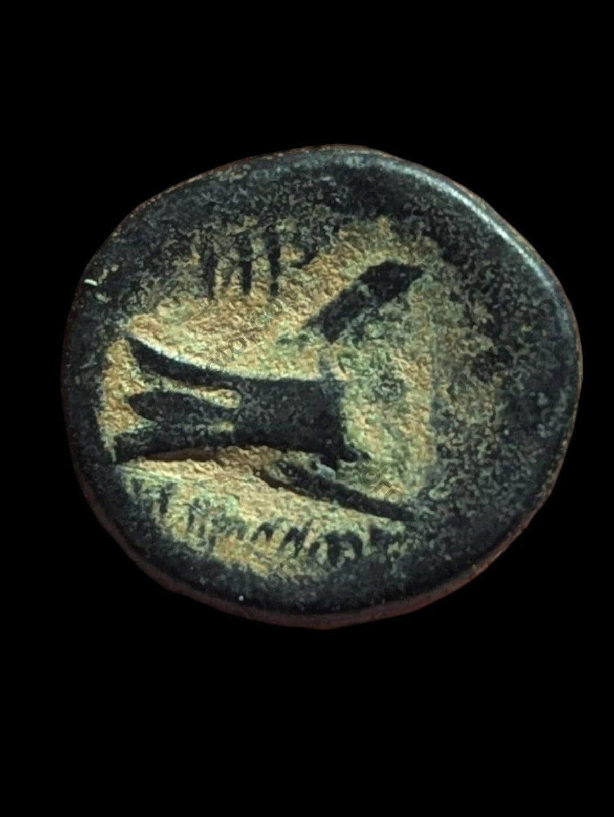 Ancient Greek Bronze Æ 137-51 BC Coin, Phoenicia, Arados, Bronze, SNG-Cop:36-44.
