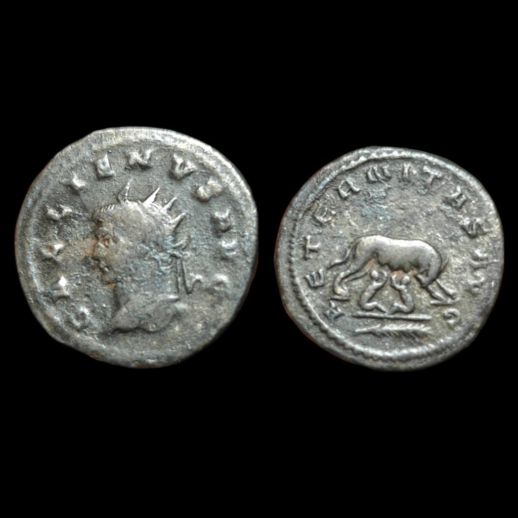 Archaios | Antoninien romain Gallien Alexandrie Troade Louve et jumeaux