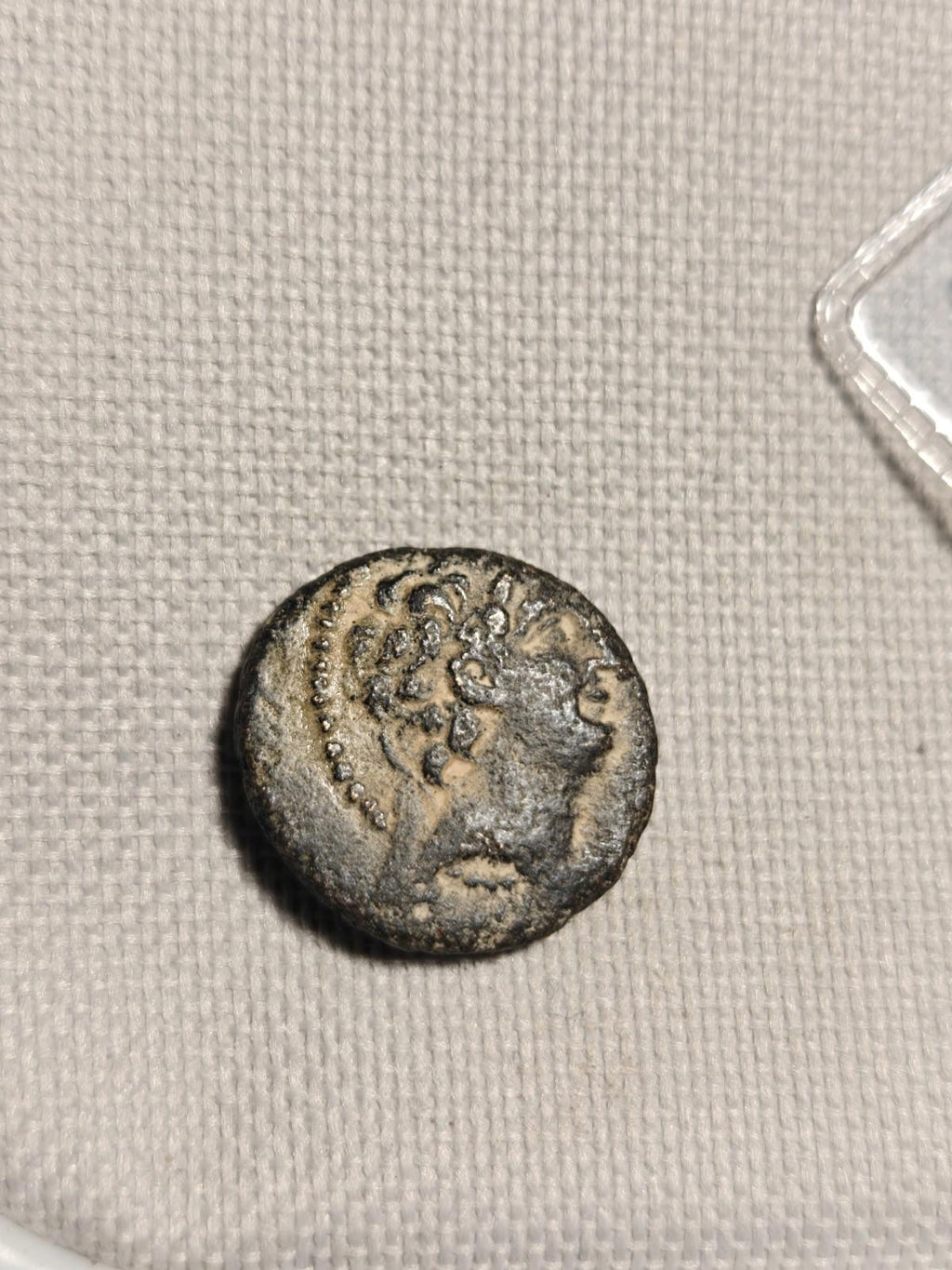 Antiochos VIII Grypos Seleukid Kingdom 121BC Ancient Greek Coin Hook & Nose
