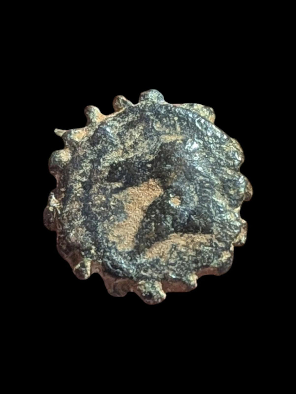 古希腊青铜币 安条克 公元前162-150年 # 德米特里一世 索特 象 马