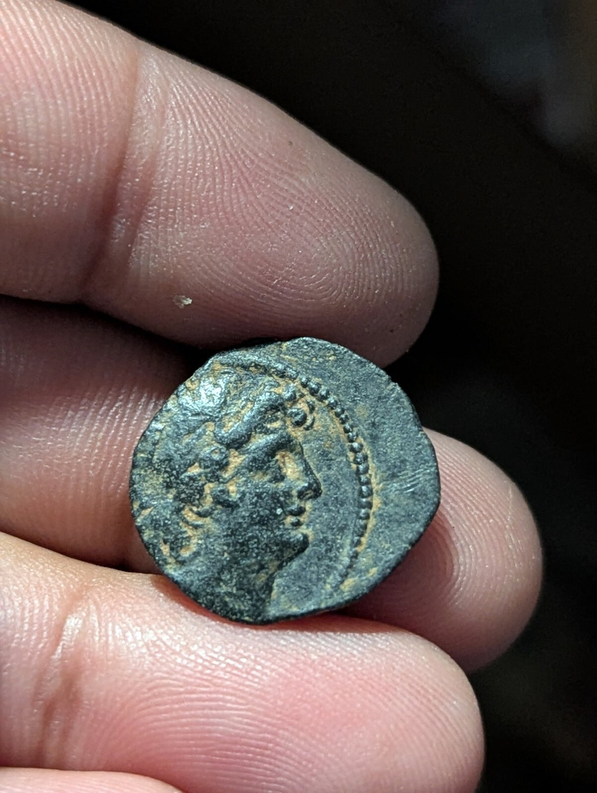 Seleucid Kingdom Cleopatra Thea Antiochos VIII OWL Ancient Greek Coin