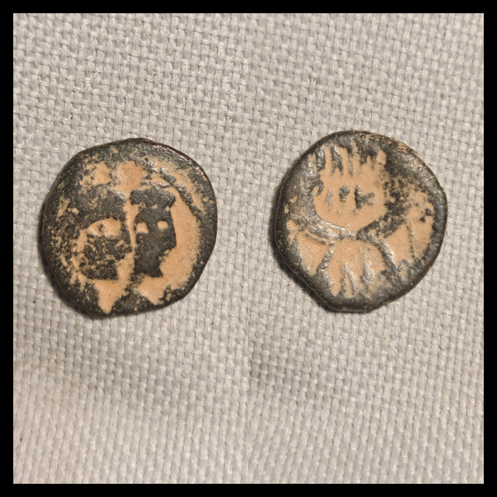 Pétra Ancien Royaume Nabatéen 9 av. J.-C. - 40 apr. J.-C. Pièce Arétas IV Shaqilat Nabatée#