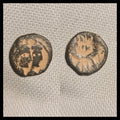 Pétra Ancien Royaume Nabatéen 9 av. J.-C. - 40 apr. J.-C. Pièce Arétas IV Shaqilat Nabatée#