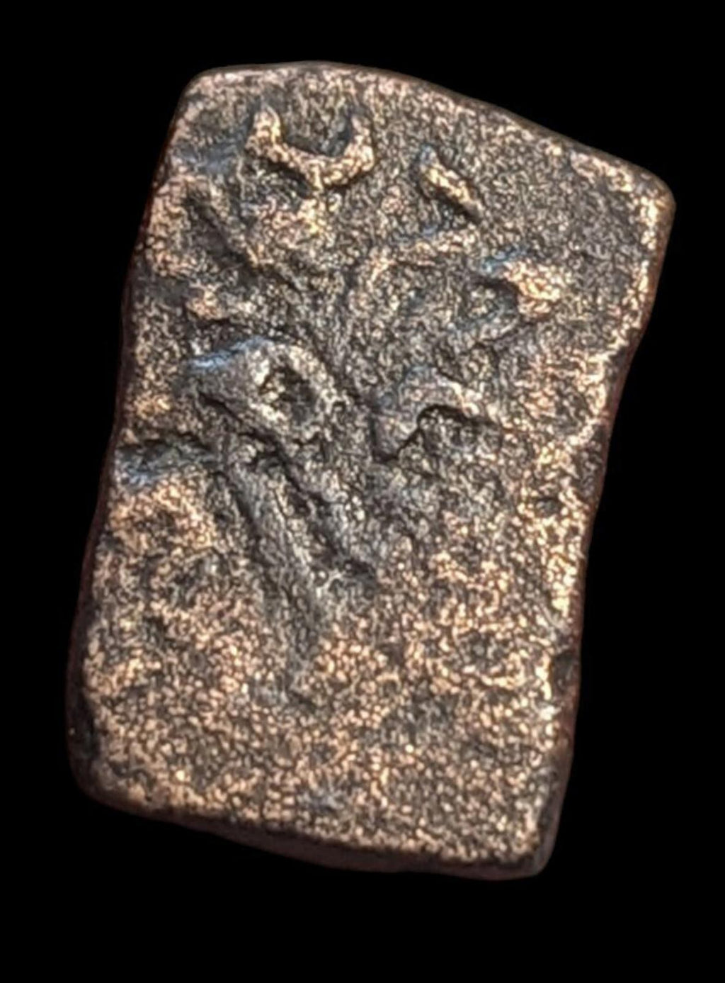 INDO-SCYTHES, Satrapes du Nord. Mujatria, vers 1-20 après J.-C. AE
