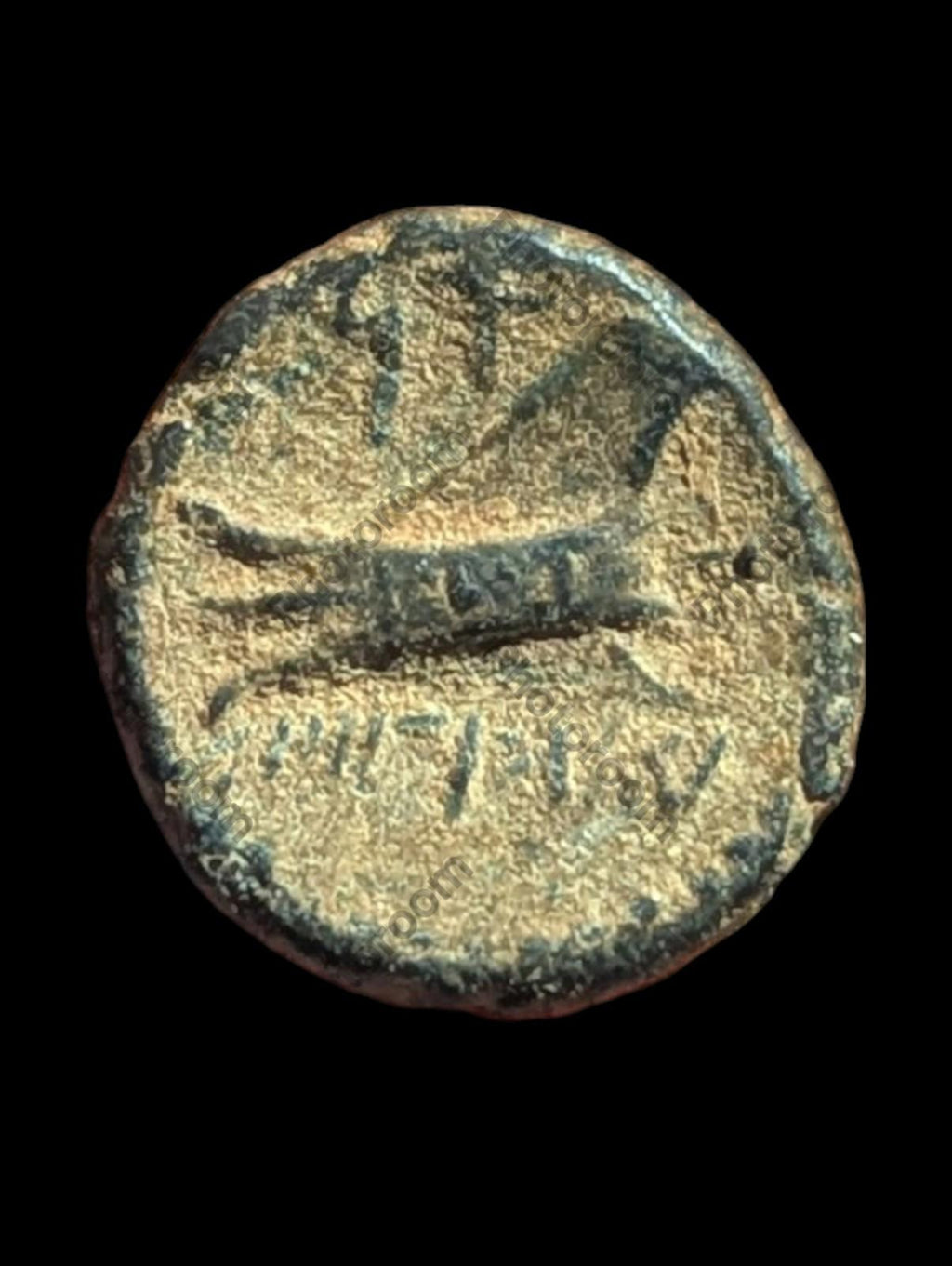 Monnaie grecque antique en bronze (Æ), 137-51 av. J.-C., Phénicie, Arados, Bronze, SNG-Cop:36-44#
