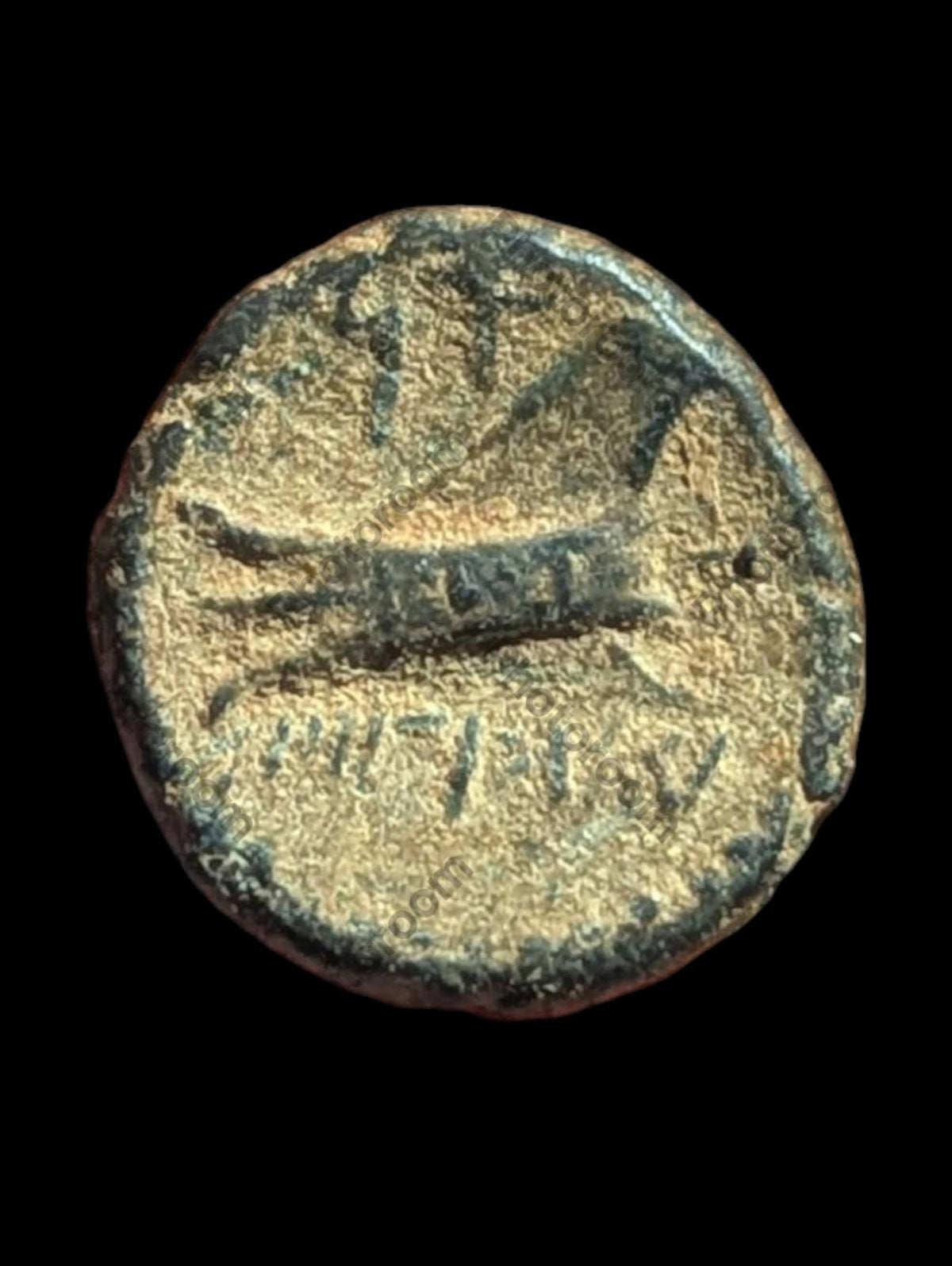 Monnaie grecque antique en bronze (Æ), 137-51 av. J.-C., Phénicie, Arados, Bronze, SNG-Cop:36-44#