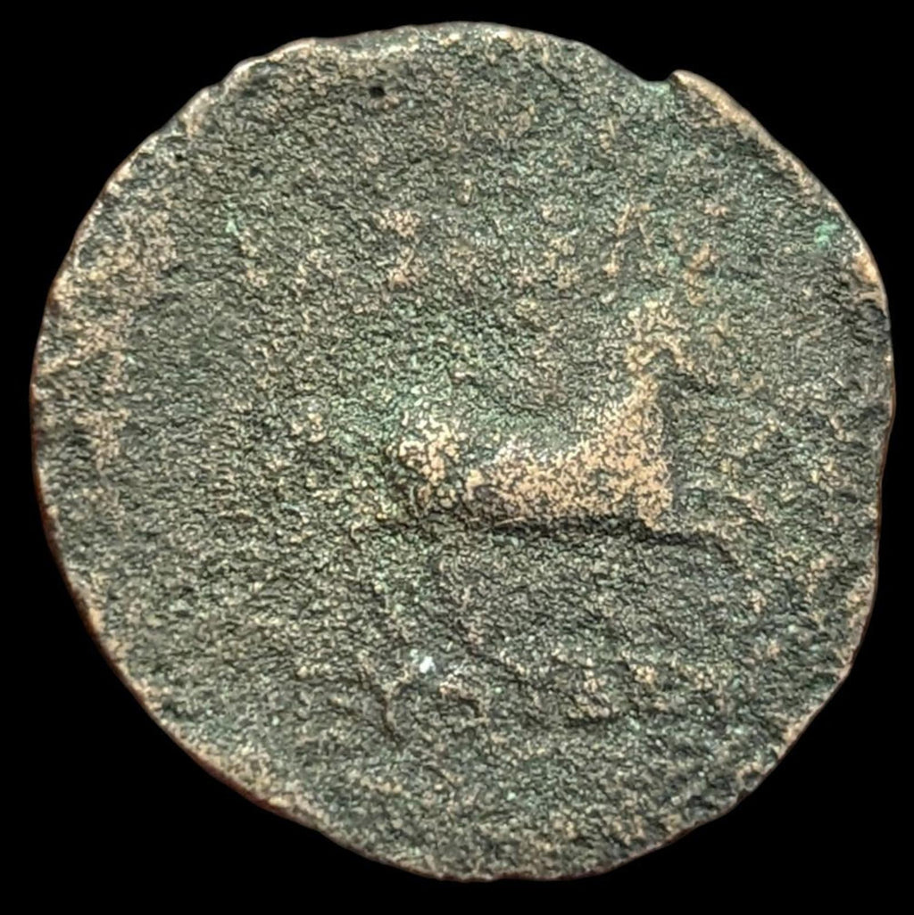 Bactria Euthydemos I, Bronze chalkous (unit), c. 230-220 BCE