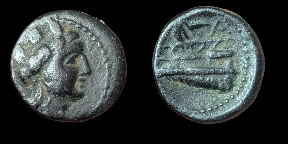 Ancient Greek Phoenicia, Arados. 2nd Century B.C. Head of Tyche Gallery