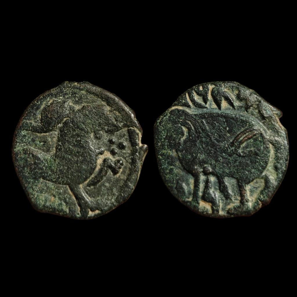 Rare, de haute qualité, Shahi d'Ohind, Vakka Deva, jital en bronze, v. 870-1000 AD.