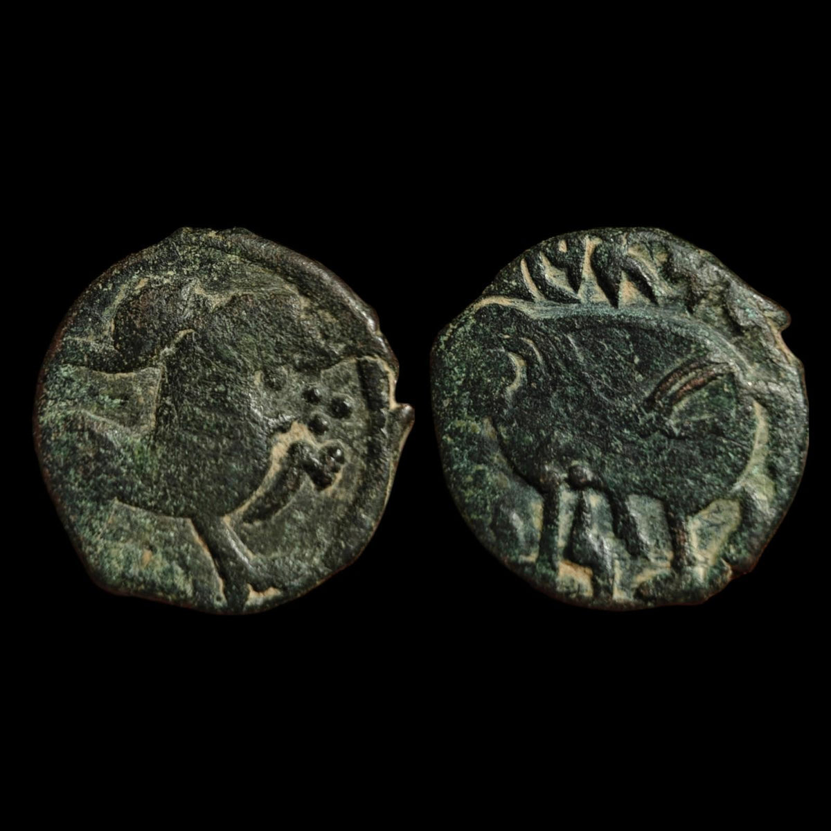 Rare, de haute qualité, Shahi d'Ohind, Vakka Deva, jital en bronze, v. 870-1000 AD.