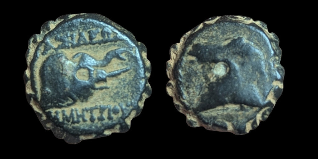 塞琉古王国，青铜17。德米特里一世·索特，公元前162-150年。马和象头。