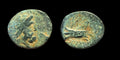古希腊青铜币 137-51 BC，腓尼基，阿瓦德斯青铜币 SNG-Cop:36 44!