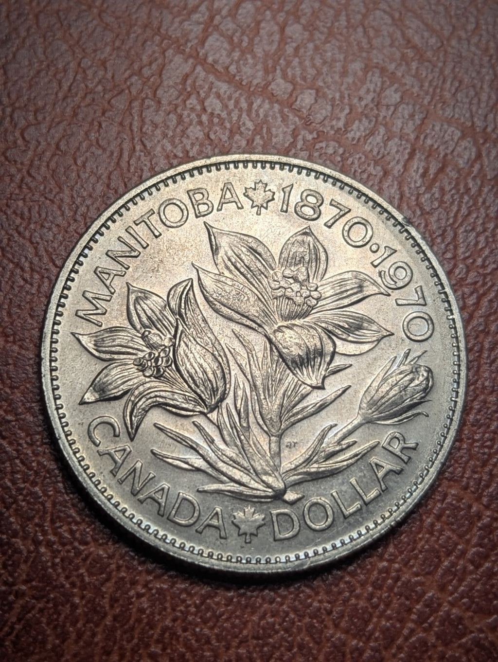 Canada Manitoba Dollar 1970 KM78 Better Grade