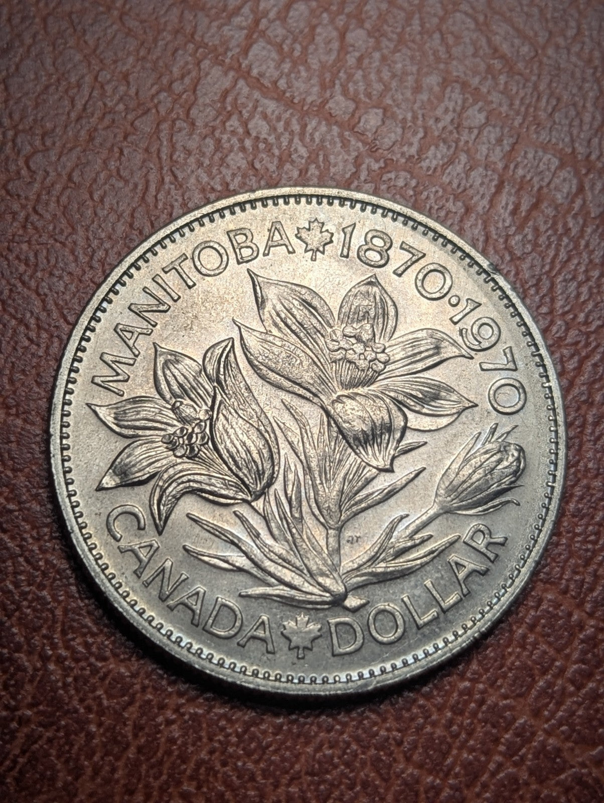 Canada Manitoba Dollar 1970 KM78 Better Grade