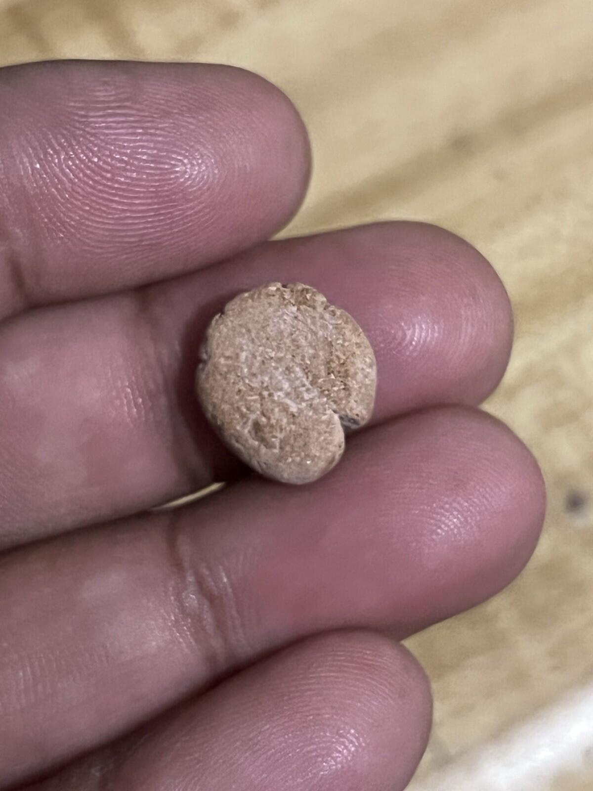 Ancient Greek / Roman Circa 1st-3rd centuries AD. Terracotta Clay Bulla