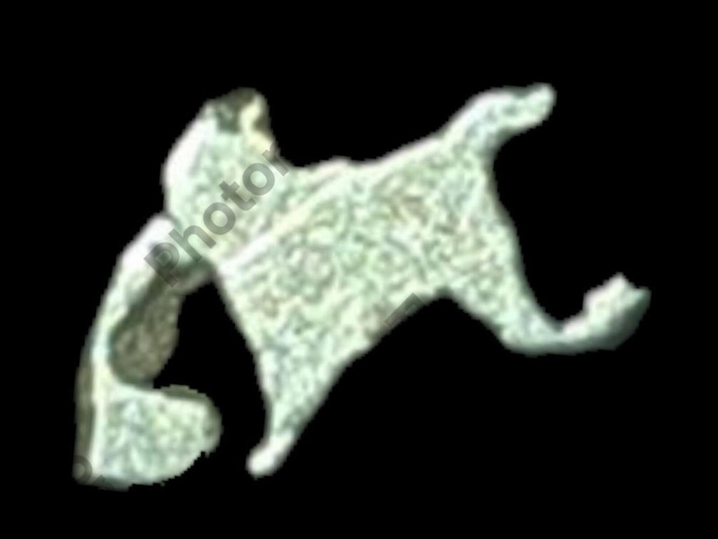 印度 孟加拉 印度河谷 孔雀王朝 冲压银币 公元前300年 象形符号 🐘
