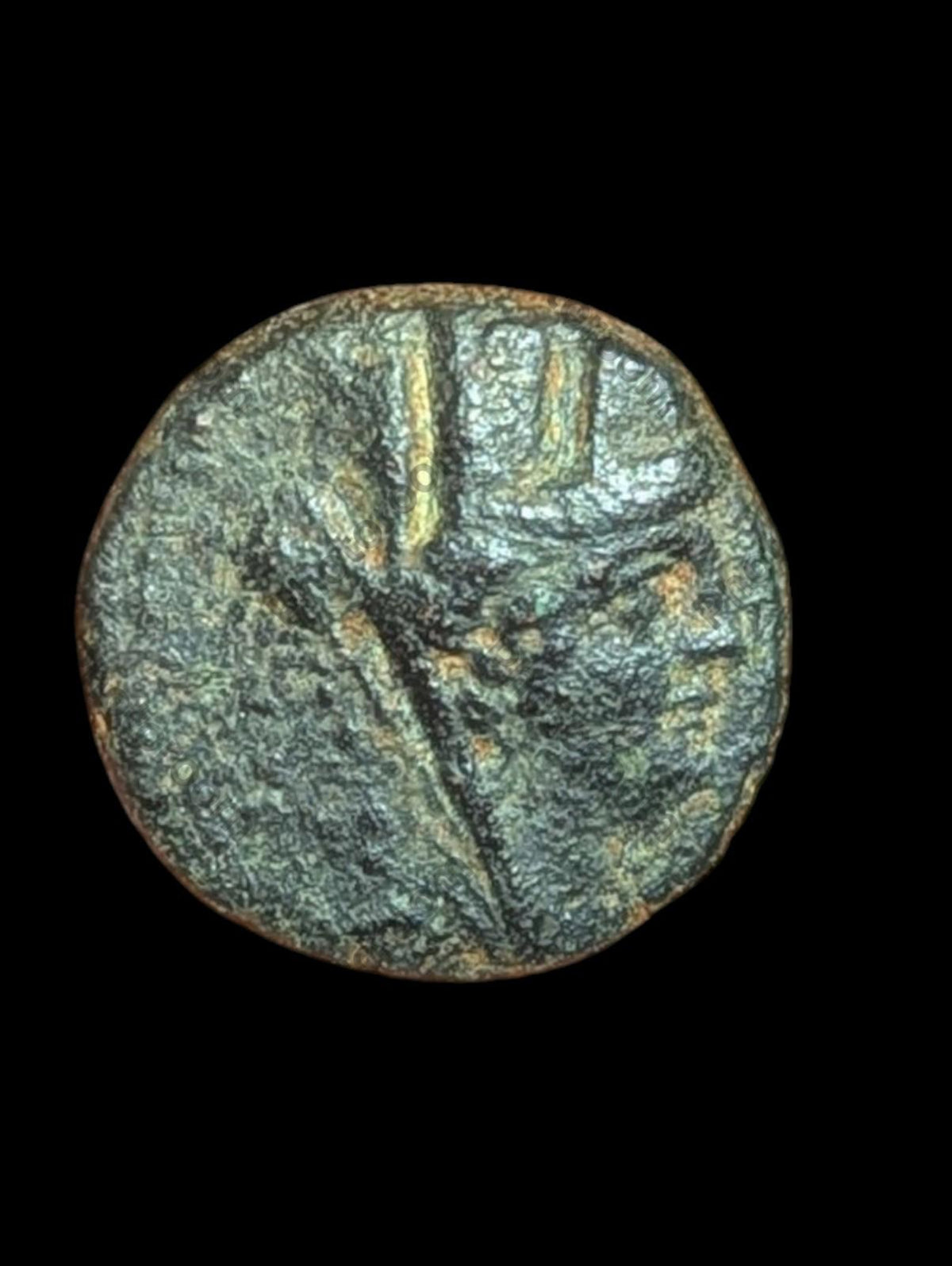 Ancient Greek ANTIOCH SELEUKIS 92 Century B.C. Head of Tyche Coin