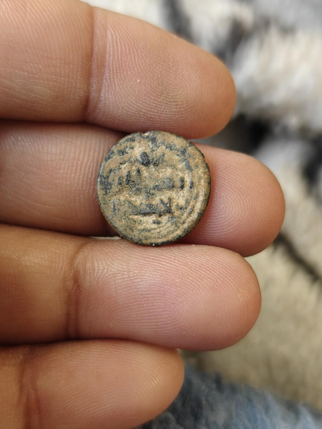 伊斯兰奥玛亚王朝福尔斯大象图案瓦尔克795专辑177真品一流品相