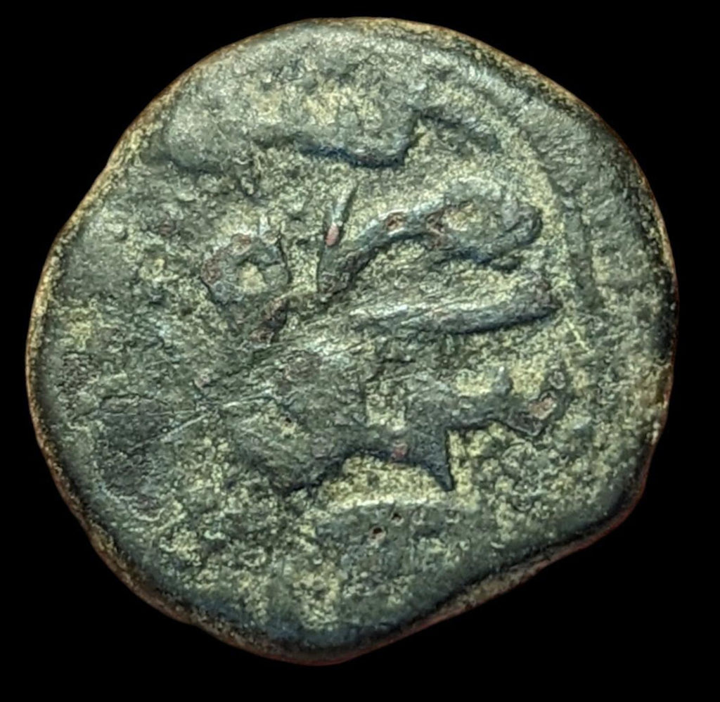 INDE SULTANS DU CACHEMIRE FATH SHAH AH874 BRONZE KASERAH