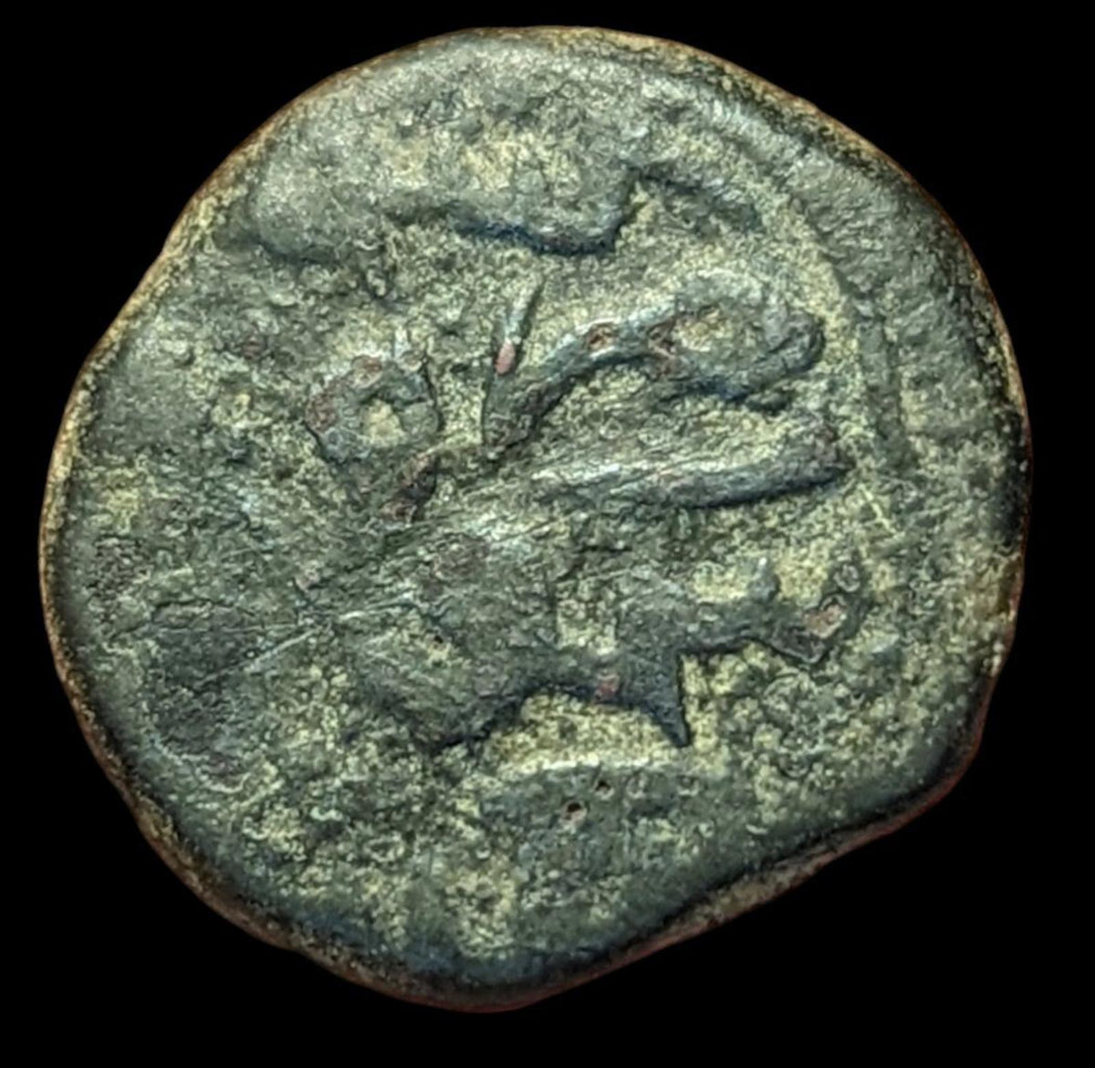 INDE SULTANS DU CACHEMIRE FATH SHAH AH874 BRONZE KASERAH