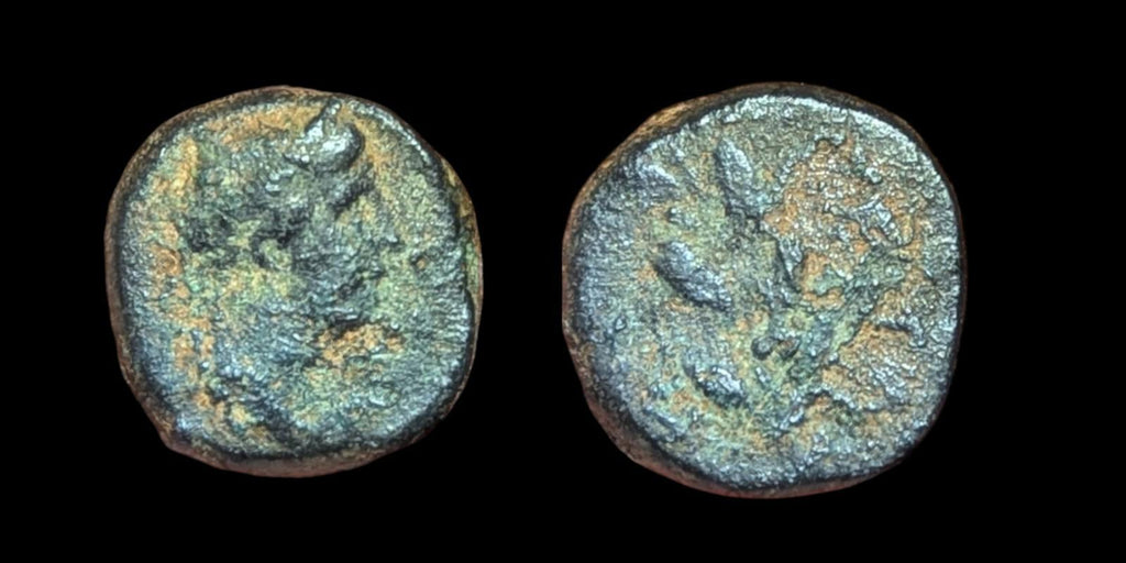 Séleucide de la Rome antique et PIERIA Pseudo-autonome de l'époque de NERVA Rare