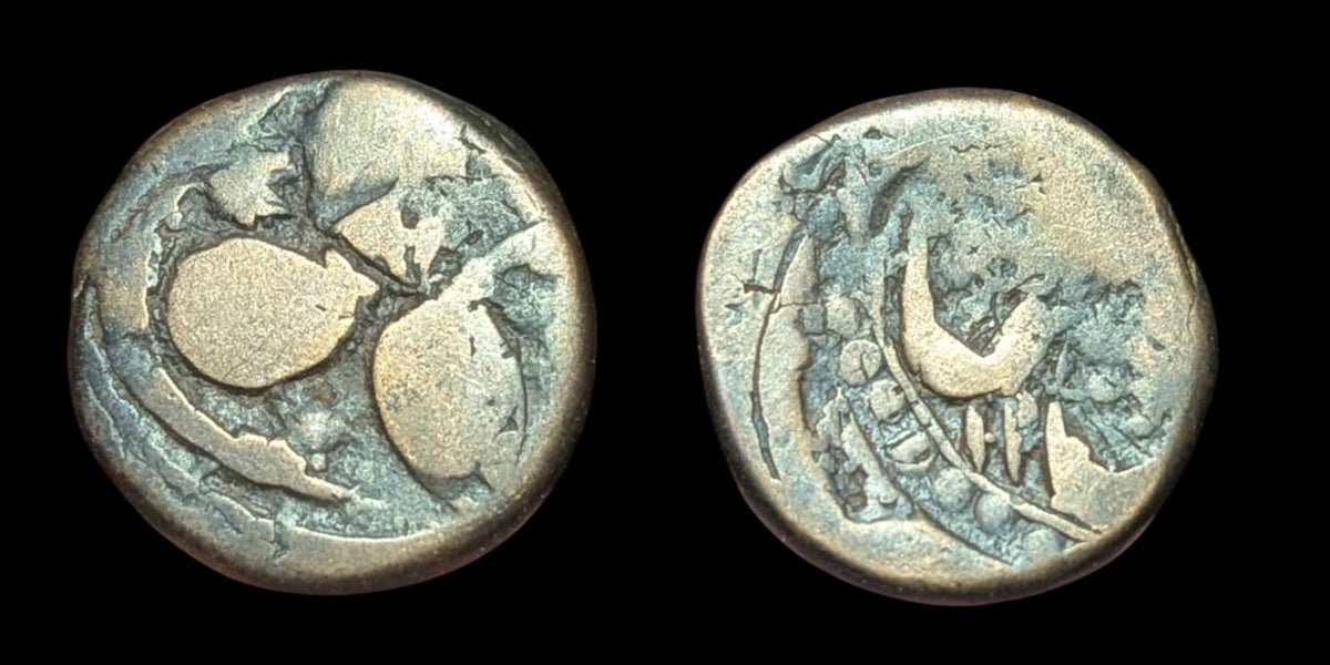Civique afghan en cuivre - Afghanistan Falus - Qandahar 1307 AH