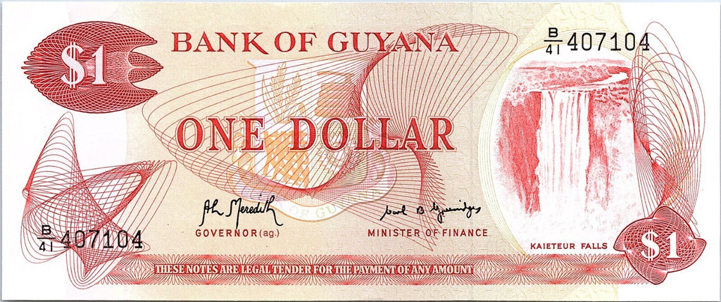 1989 Bank of Guyana One 1 Dollar circulated Banknote Better Grade