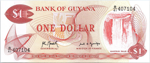 1989 Bank of Guyana One 1 Dollar circulated Banknote Better Grade