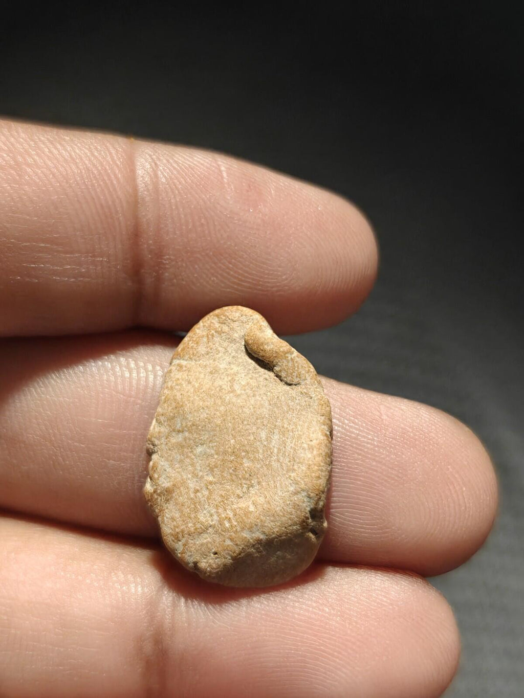 Ancient Greek Roman Circa 1st-3rd centuries AD Terracotta Clay Bullae Tessera