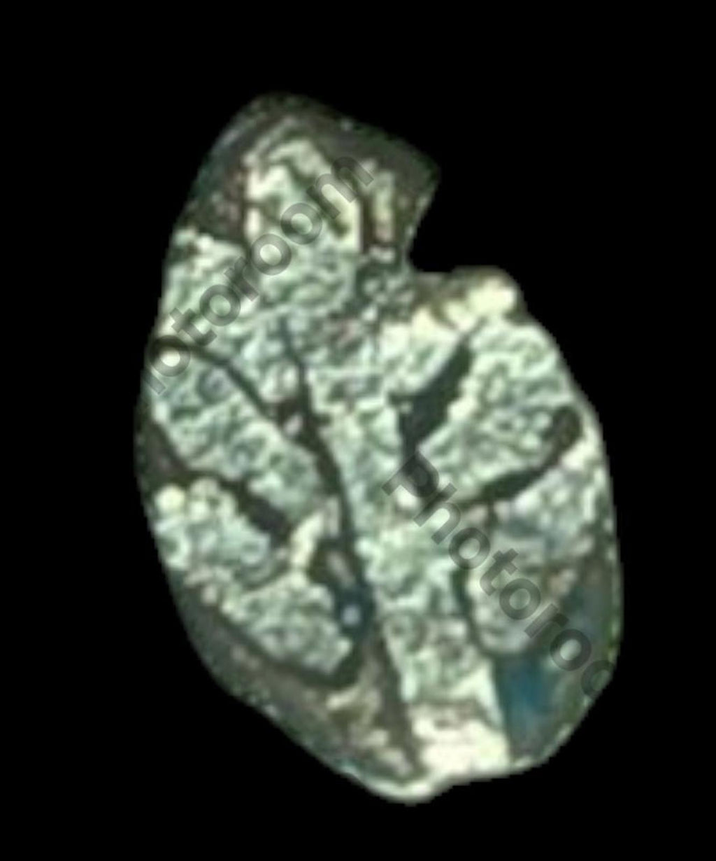 India Bengal INDUS Valley Mayuriyan Punch silver Coin 300 BC PLANT Symbol ☘️