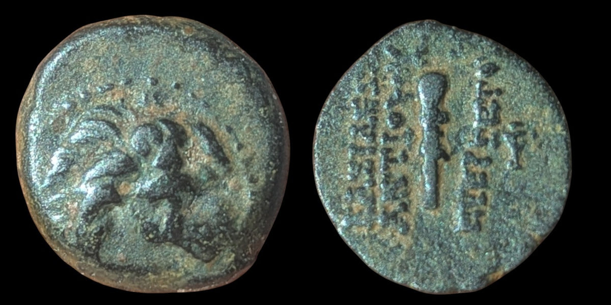 ANTOCHOS VII Seleucid Ancient Greek Coin Nemean Lion Hercules Labor