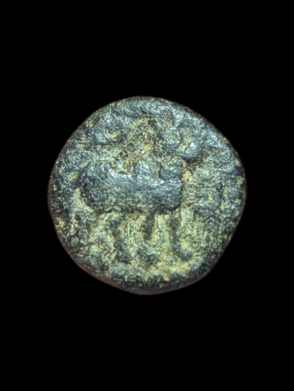 India IPS Tinnevelly Kasu Perunjinga Pallavas Sendamangalam 1228-1278*