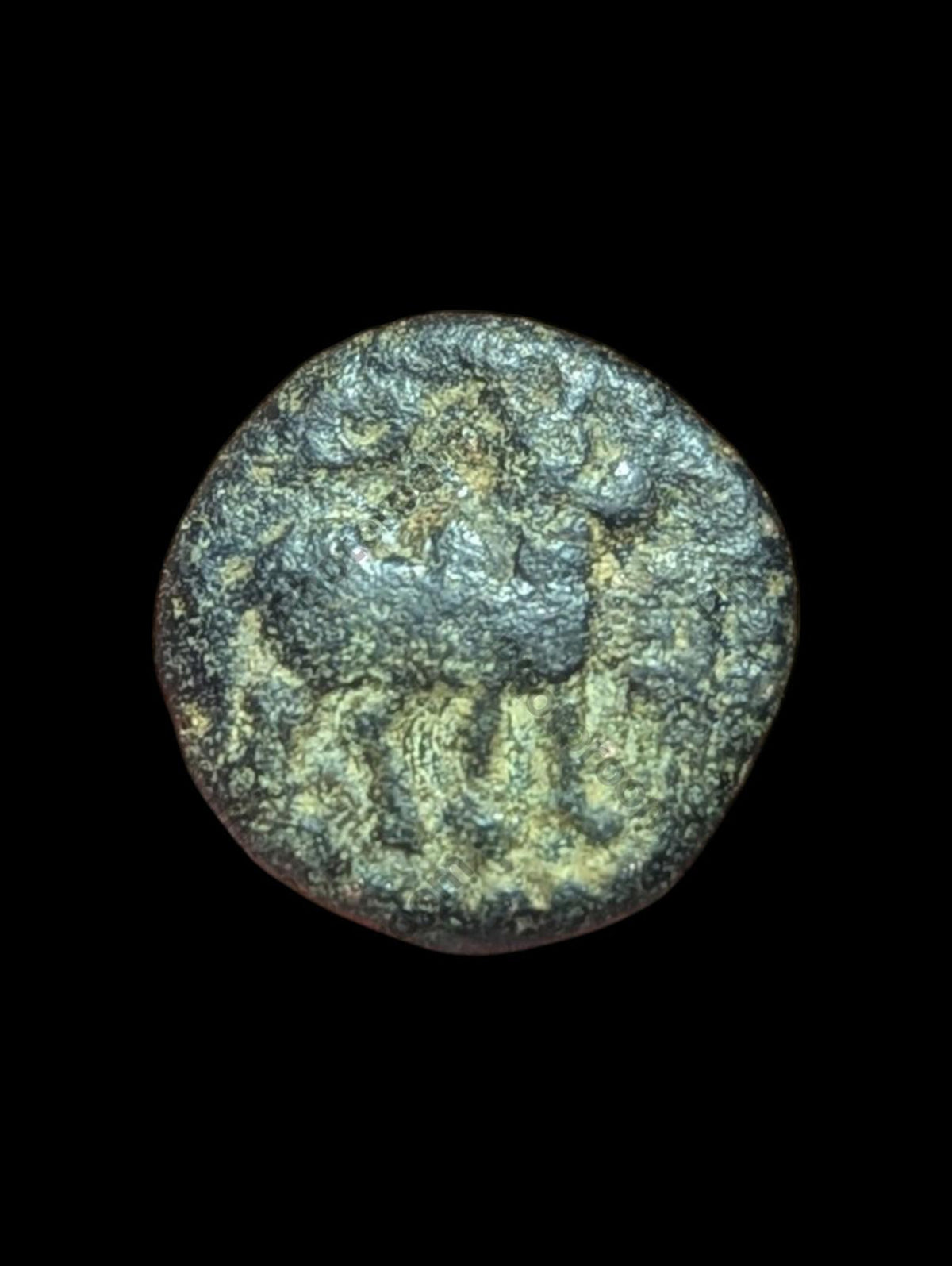 India IPS Tinnevelly Kasu Perunjinga Pallavas Sendamangalam 1228-1278*