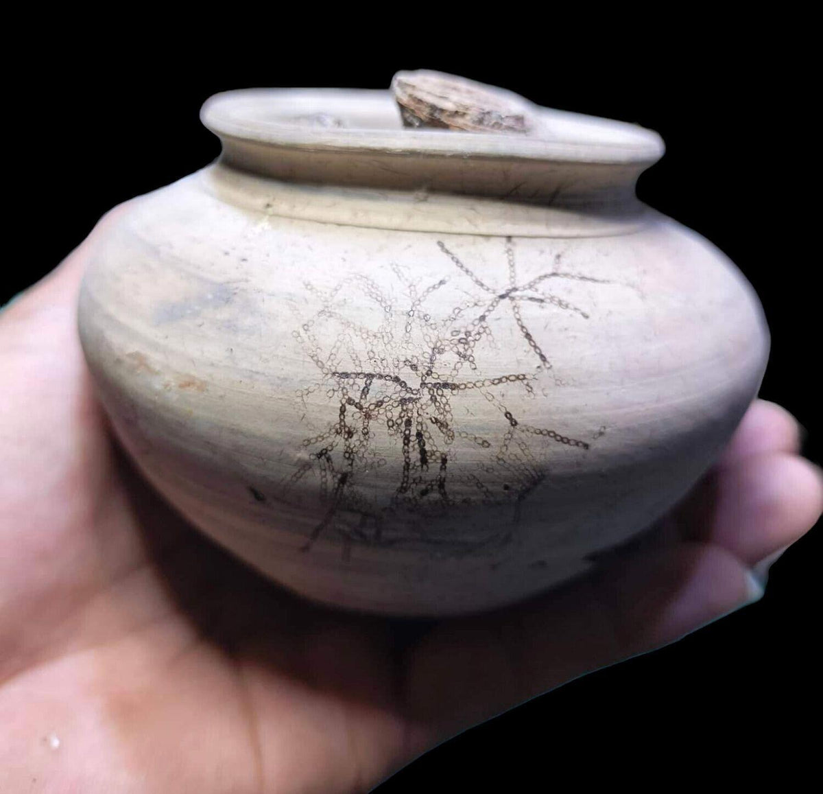 Chinese Pottery With Chinese Cash, Regime Unknown, Shipwreck From JAVA River