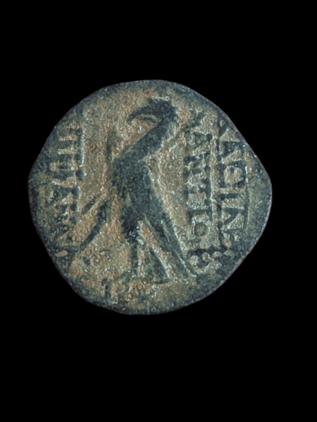 ANTIOCHOS VIII Grypos Grec Ancien Séleucide Pièce ARTEMIS & APOLLON, 121 av. J.-C.