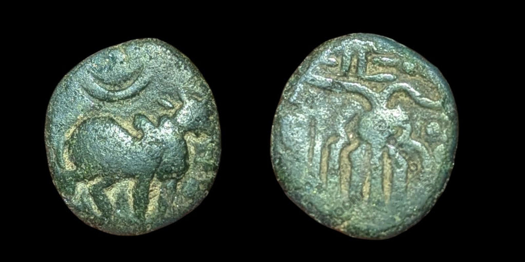 Inde IPS Tinnevelly Kasu Perunjinga Pallavas Sendamangalam 1228-1278*