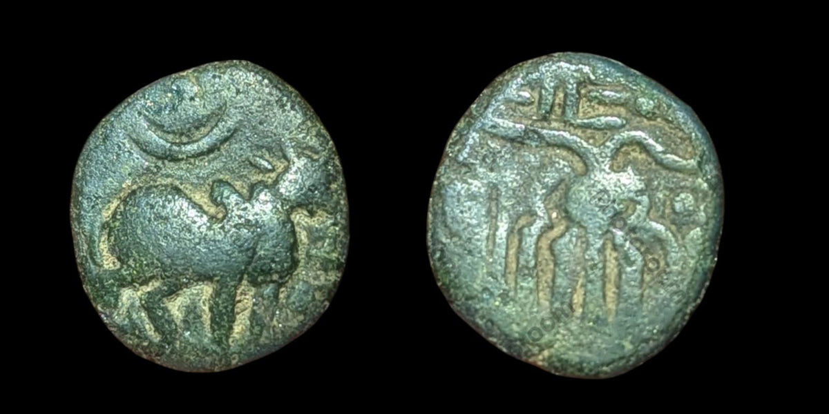 Inde IPS Tinnevelly Kasu Perunjinga Pallavas Sendamangalam 1228-1278*